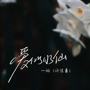 亚洲视频高清不卡在线观看
